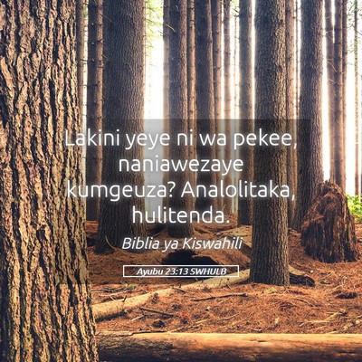 Picture 05 - Ayubu 23:13 SWHULB - Lakini yeye ni wa pekee, naniawezaye kumgeuza? - Bible Verse Picture