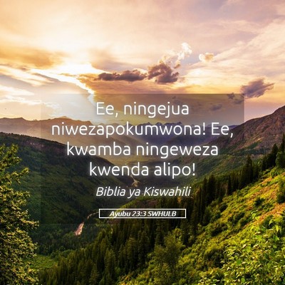 Picture 05 - Ayubu 23:3 SWHULB - Ee, ningejua niwezapokumwona! Ee, kwamba - Bible Verse Picture