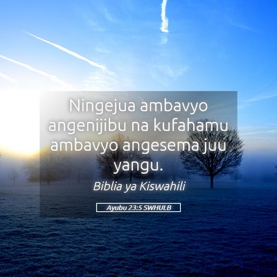 Picture 05 - Ayubu 23:5 SWHULB - Ningejua ambavyo angenijibu na kufahamu ambavyo - Bible Verse Picture