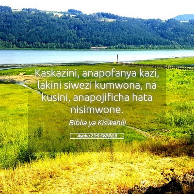 Picture 05 - Ayubu 23:9 SWHULB - Kaskazini, anapofanya kazi, lakini siwezi - Bible Verse Picture