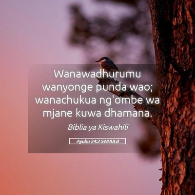 Picture 05 - Ayubu 24:3 SWHULB - Wanawadhurumu wanyonge punda wao; wanachukua - Bible Verse Picture