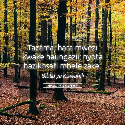 Picture 05 - Ayubu 25:5 SWHULB - Tazama, hata mwezi kwake haungazii; nyota - Bible Verse Picture
