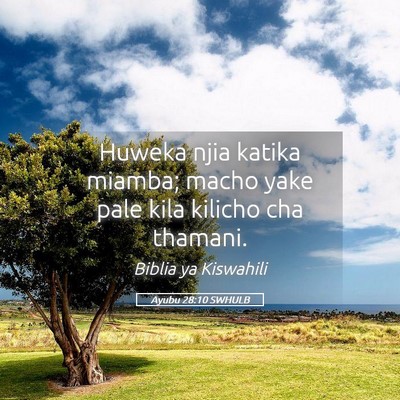 Picture 05 - Ayubu 28:10 SWHULB - Huweka njia katika miamba; macho yake pale kila - Bible Verse Picture