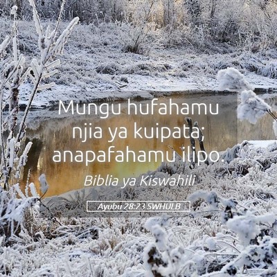 Picture 05 - Ayubu 28:23 SWHULB - Mungu hufahamu njia ya kuipata; anapafahamu - Bible Verse Picture