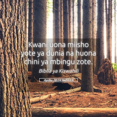 Picture 05 - Ayubu 28:24 SWHULB - Kwani uona miisho yote ya dunia na huona chini ya - Bible Verse Picture
