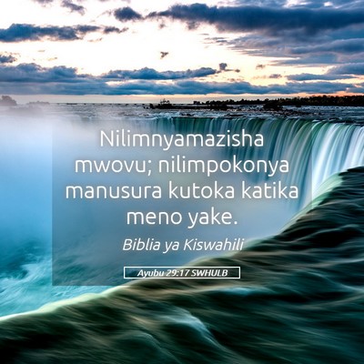 Picture 05 - Ayubu 29:17 SWHULB - Nilimnyamazisha mwovu; nilimpokonya manusura - Bible Verse Picture