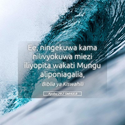 Picture 05 - Ayubu 29:2 SWHULB - Ee, ningekuwa kama nilivyokuwa miezi iliyopita - Bible Verse Picture