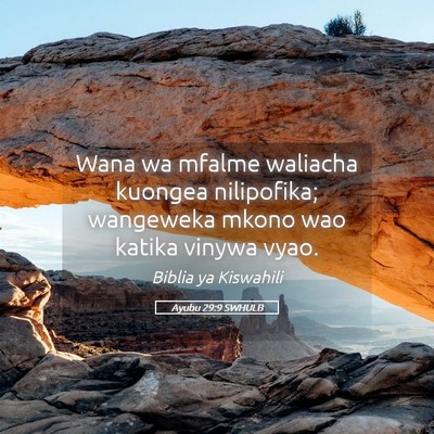 Picture 05 - Ayubu 29:9 SWHULB - Wana wa mfalme waliacha kuongea nilipofika; - Bible Verse Picture