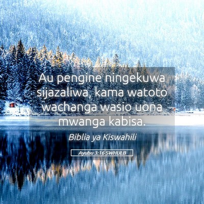 Picture 05 - Ayubu 3:16 SWHULB - Au pengine ningekuwa sijazaliwa, kama watoto - Bible Verse Picture