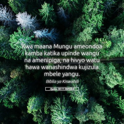 Picture 05 - Ayubu 30:11 SWHULB - Kwa maana Mungu ameondoa kamba katika upinde - Bible Verse Picture