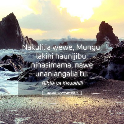 Picture 05 - Ayubu 30:20 SWHULB - Nakulilia wewe, Mungu, lakini haunijibu; - Bible Verse Picture