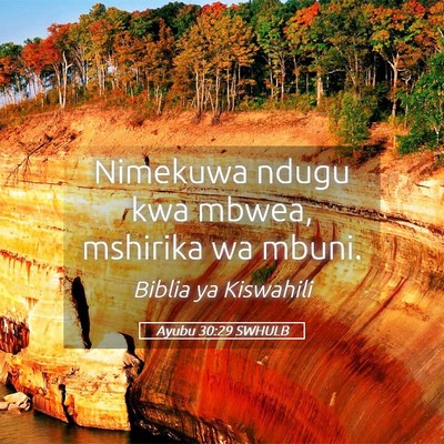Picture 05 - Ayubu 30:29 SWHULB - Nimekuwa ndugu kwa mbwea, mshirika wa - Bible Verse Picture