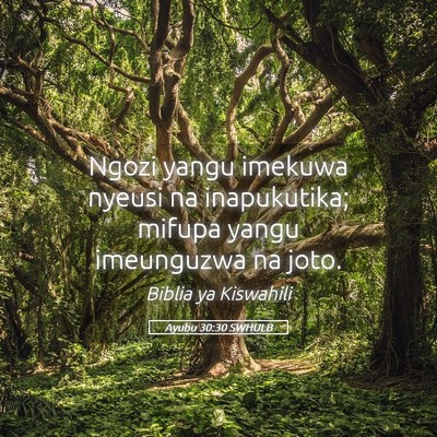 Picture 05 - Ayubu 30:30 SWHULB - Ngozi yangu imekuwa nyeusi na inapukutika; mifupa - Bible Verse Picture
