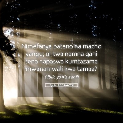 Picture 05 - Ayubu 31:1 SWHULB - Nimefanya patano na macho yangu; ni kwa namna - Bible Verse Picture
