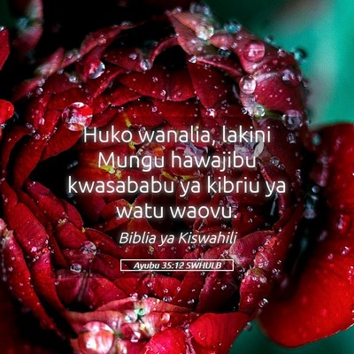 Picture 05 - Ayubu 35:12 SWHULB - Huko wanalia, lakini Mungu hawajibu kwasababu ya - Bible Verse Picture