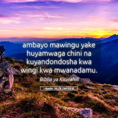 Picture 05 - Ayubu 36:28 SWHULB - ambayo mawingu yake huyamwaga chini na - Bible Verse Picture