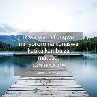 Picture 05 - Ayubu 36:8 SWHULB - Ikiwa wamefungwa minyororo na kunaswa katika - Bible Verse Picture