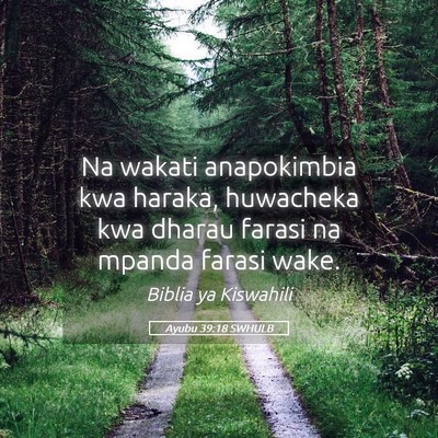Picture 05 - Ayubu 39:18 SWHULB - Na wakati anapokimbia kwa haraka, huwacheka kwa - Bible Verse Picture
