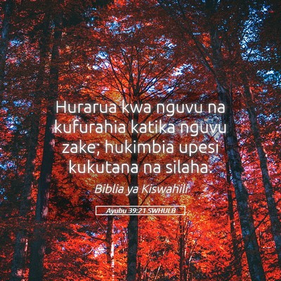 Picture 05 - Ayubu 39:21 SWHULB - Hurarua kwa nguvu na kufurahia katika nguvu zake; - Bible Verse Picture