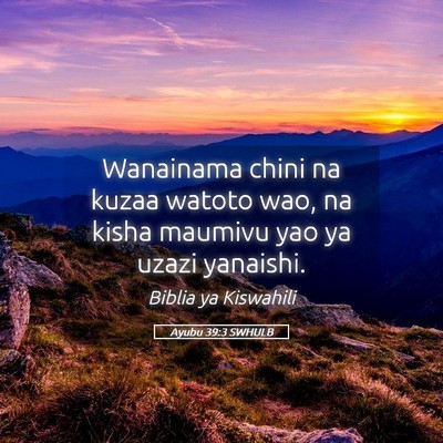 Picture 05 - Ayubu 39:3 SWHULB - Wanainama chini na kuzaa watoto wao, na kisha - Bible Verse Picture