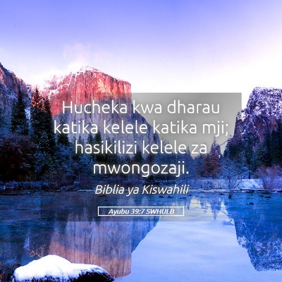 Picture 05 - Ayubu 39:7 SWHULB - Hucheka kwa dharau katika kelele katika mji; - Bible Verse Picture