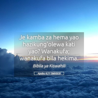 Picture 05 - Ayubu 4:21 SWHULB - Je kamba za hema yao hazikung'olewa kati yao? - Bible Verse Picture