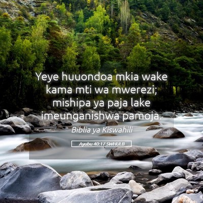 Picture 05 - Ayubu 40:17 SWHULB - Yeye huuondoa mkia wake kama mti wa mwerezi; - Bible Verse Picture