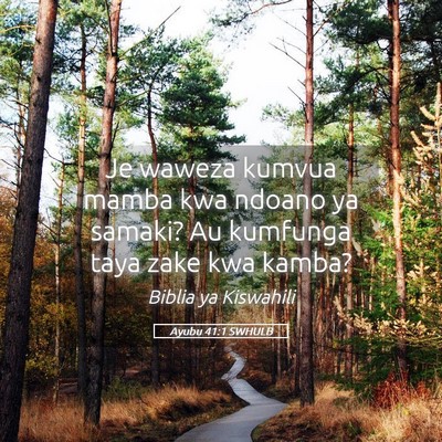 Picture 05 - Ayubu 41:1 SWHULB - Je waweza kumvua mamba kwa ndoano ya samaki? Au - Bible Verse Picture