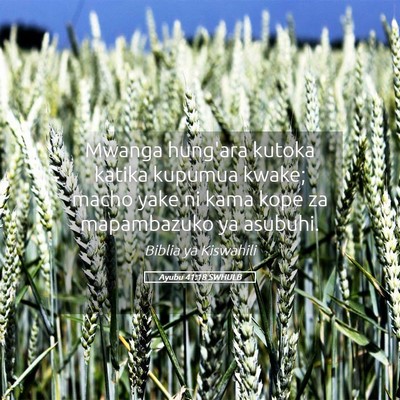 Picture 05 - Ayubu 41:18 SWHULB - Mwanga hung'ara kutoka katika kupumua kwake; - Bible Verse Picture