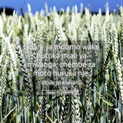 Picture 05 - Ayubu 41:19 SWHULB - Ndani ya mdomo wake hutoka miali ya mwanga, - Bible Verse Picture