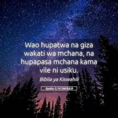 Picture 05 - Ayubu 5:14 SWHULB - Wao hupatwa na giza wakati wa mchana, na hupapasa - Bible Verse Picture