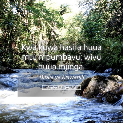 Picture 05 - Ayubu 5:2 SWHULB - Kwa kuwa hasira huua mtu mpumbavu; wivu huua - Bible Verse Picture