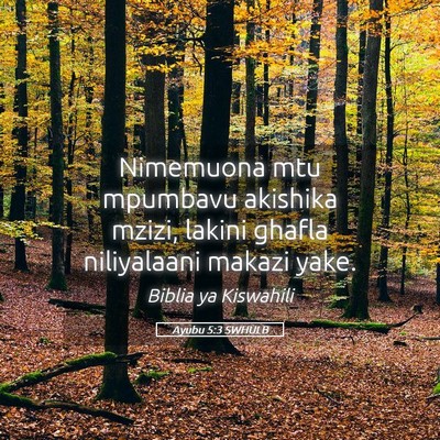 Picture 05 - Ayubu 5:3 SWHULB - Nimemuona mtu mpumbavu akishika mzizi, lakini - Bible Verse Picture