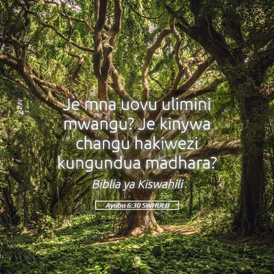 Picture 05 - Ayubu 6:30 SWHULB - Je mna uovu ulimini mwangu? Je kinywa changu - Bible Verse Picture