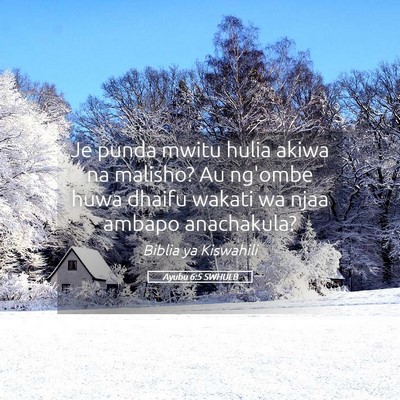 Picture 05 - Ayubu 6:5 SWHULB - Je punda mwitu hulia akiwa na malisho? Au ng'ombe - Bible Verse Picture