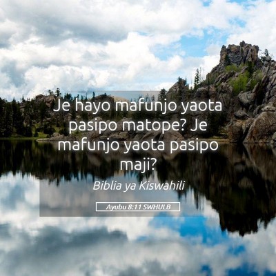 Picture 05 - Ayubu 8:11 SWHULB - Je hayo mafunjo yaota pasipo matope? Je mafunjo - Bible Verse Picture