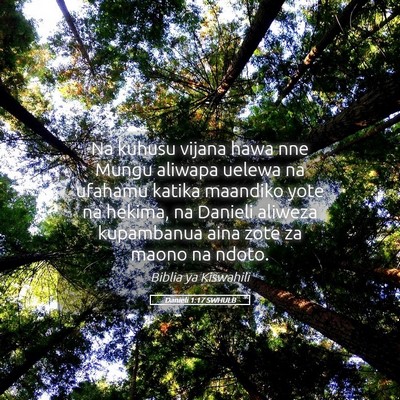 Picture 05 - Danieli 1:17 SWHULB - Na kuhusu vijana hawa nne Mungu aliwapa uelewa na - Bible Verse Picture