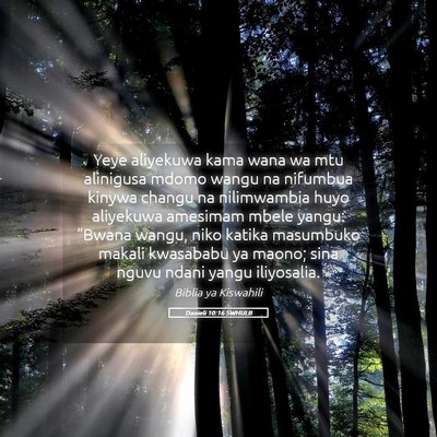 Picture 05 - Danieli 10:16 SWHULB - Yeye aliyekuwa kama wana wa mtu alinigusa mdomo - Bible Verse Picture