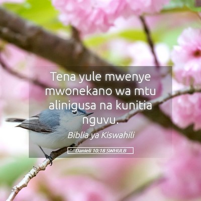 Picture 05 - Danieli 10:18 SWHULB - Tena yule mwenye mwonekano wa mtu alinigusa na - Bible Verse Picture