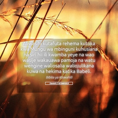 Picture 05 - Danieli 2:18 SWHULB - Aliwasihi kutafuta rehema kutoka kwa Mungu wa - Bible Verse Picture