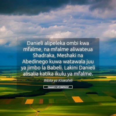 Picture 05 - Danieli 2:49 SWHULB - Danieli alipeleka ombi kwa mfalme, na mfalme - Bible Verse Picture
