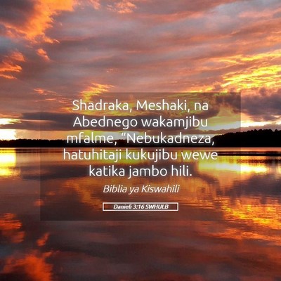 Picture 05 - Danieli 3:16 SWHULB - Shadraka, Meshaki, na Abednego wakamjibu mfalme, - Bible Verse Picture