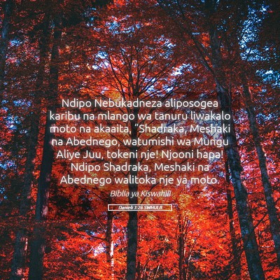 Picture 05 - Danieli 3:26 SWHULB - Ndipo Nebukadneza aliposogea karibu na mlango wa - Bible Verse Picture