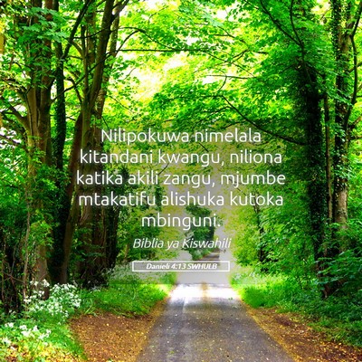 Picture 05 - Danieli 4:13 SWHULB - Nilipokuwa nimelala kitandani kwangu, niliona - Bible Verse Picture