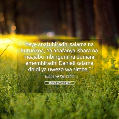 Picture 05 - Danieli 6:27 SWHULB - Yeye anatuhifadhi salama na kutuokoa, na anafanya - Bible Verse Picture
