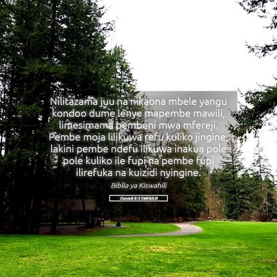 Picture 05 - Danieli 8:3 SWHULB - Nilitazama juu na nikaona mbele yangu kondoo dume - Bible Verse Picture