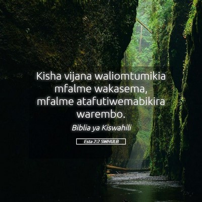 Picture 05 - Esta 2:2 SWHULB - Kisha vijana waliomtumikia mfalme wakasema, - Bible Verse Picture