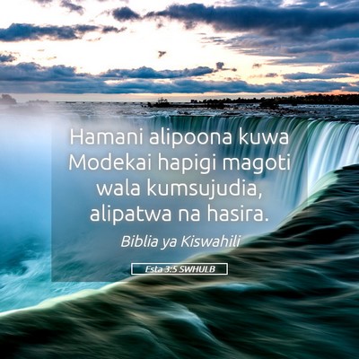 Picture 05 - Esta 3:5 SWHULB - Hamani alipoona kuwa Modekai hapigi magoti wala - Bible Verse Picture