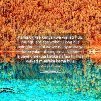 Picture 05 - Esta 4:14 SWHULB - Kama ukikaa kimya kwa wakati huu, Mungu ataleta - Bible Verse Picture