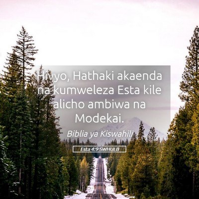 Picture 05 - Esta 4:9 SWHULB - Hivyo, Hathaki akaenda na kumweleza Esta kile - Bible Verse Picture
